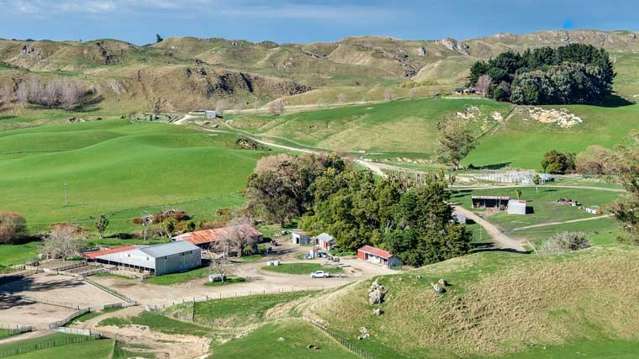 Cabbage Tree Flat Station offers slice of Hawke’s Bay