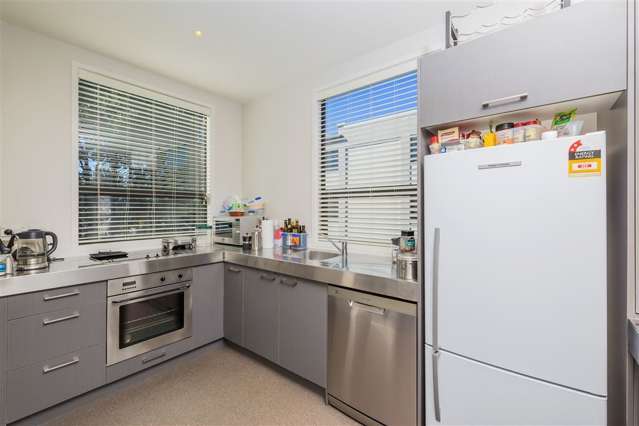 1 Mary Street Mount Eden_4