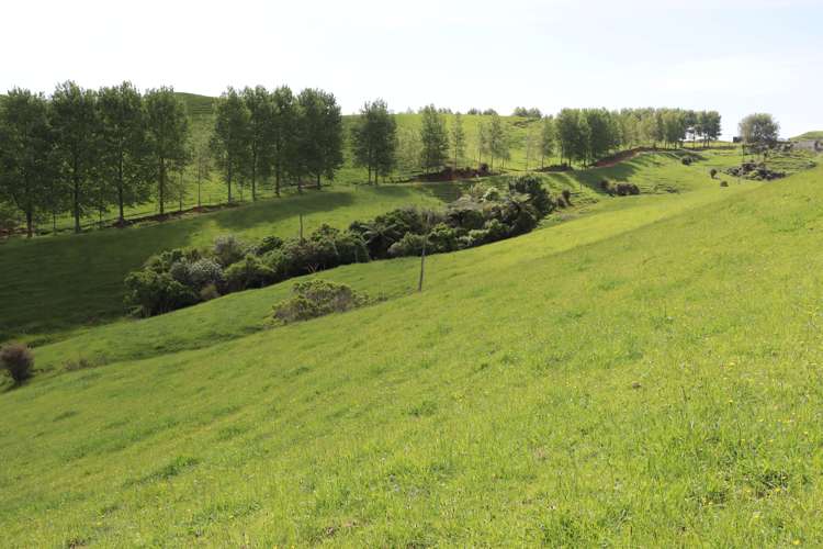 346 Lincoln Road Inglewood_7