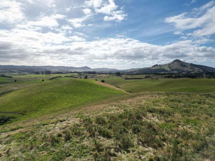 3/220 Taieri Peak Road Palmerston_6
