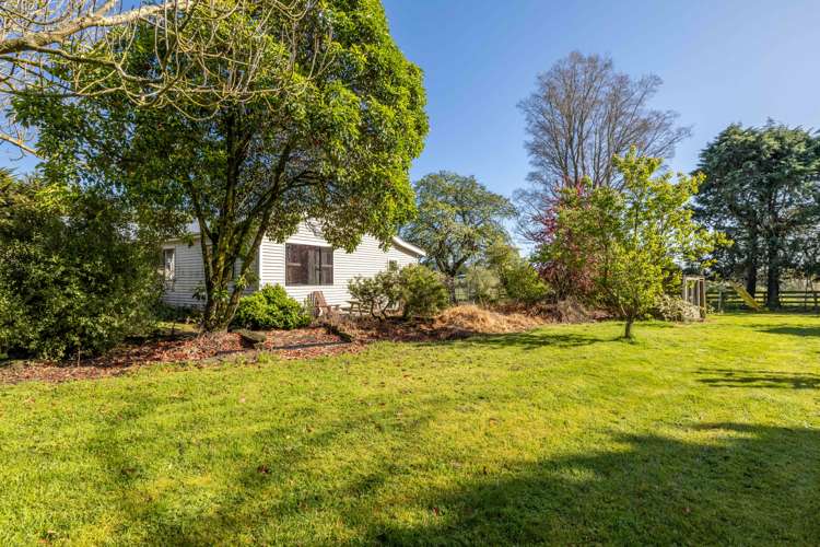 158 Munro Road Cheviot_17