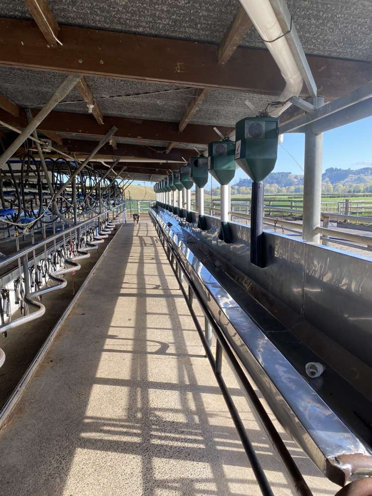 143 Maratoto Road Hikutaia_2