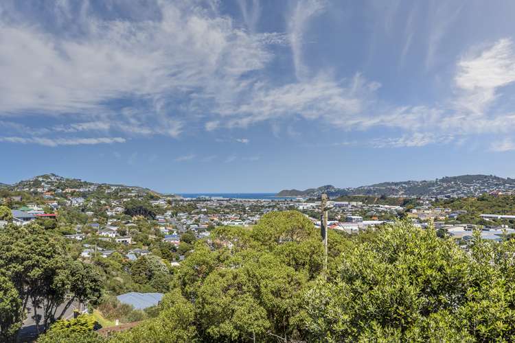 154 Totara Road Miramar_15