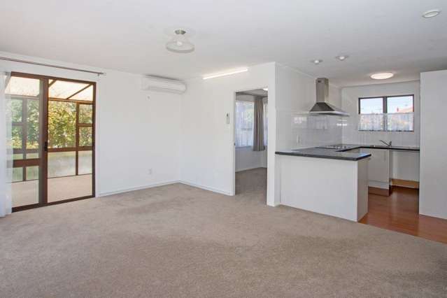 390c Richardson Road Mount Roskill_2