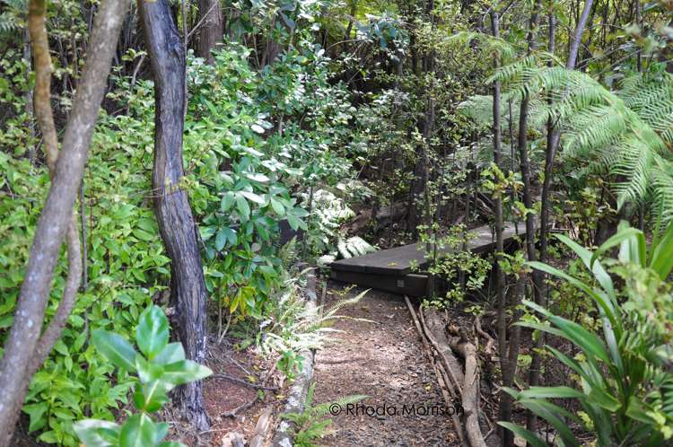 32 Komiti Road Tinopai_35