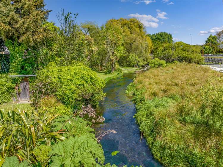 7a Cunliffe Road Redwood_18