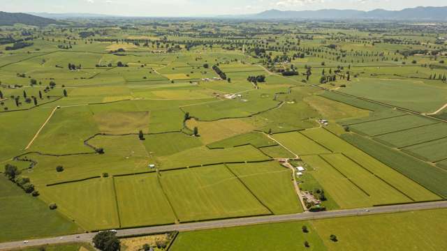 5134 State Highway 29 Matamata_2