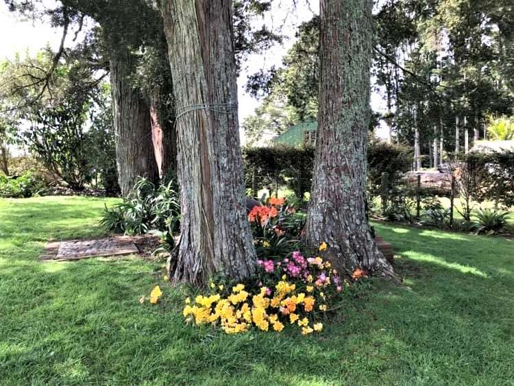 2 Estaugh Close Kauri_6