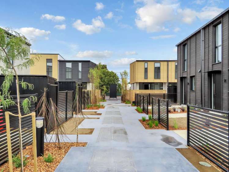 35 Te Ara O Paetutu Petone_11