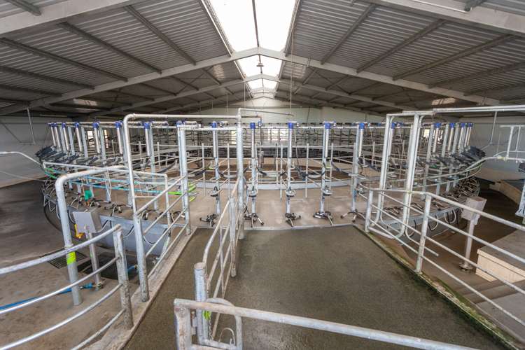 227 Endowment Road Te Aroha_8