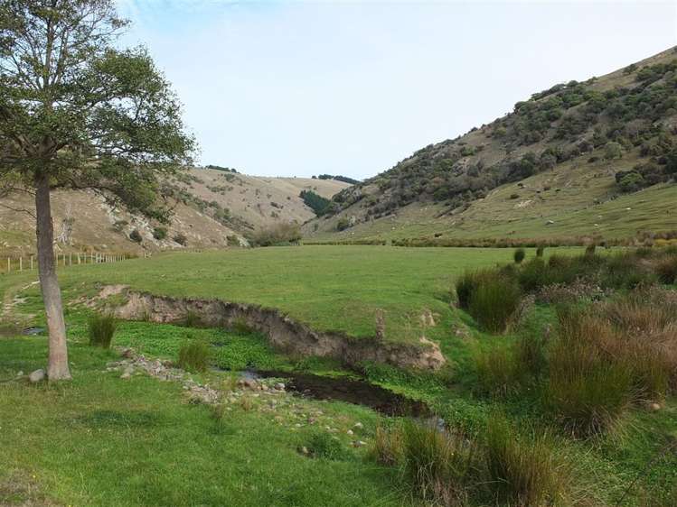 831 Chorlton Road Little Akaloa_46