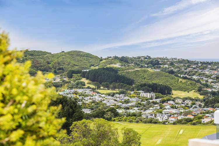 29 Mana Street Vogeltown_17