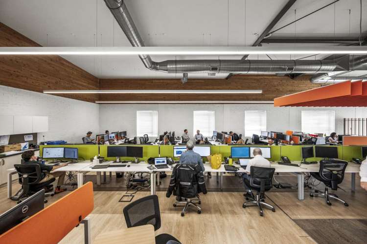 24 Spring Street Freemans Bay_11