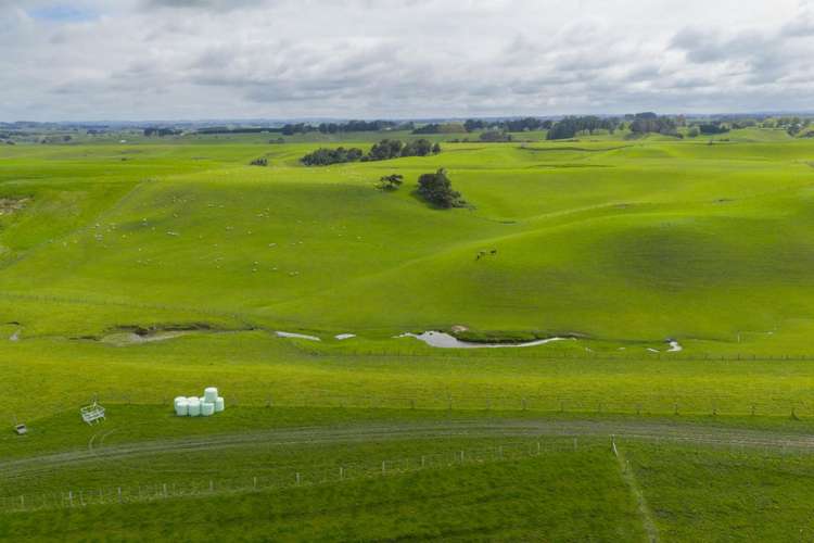 234 Sandon Road Feilding_12