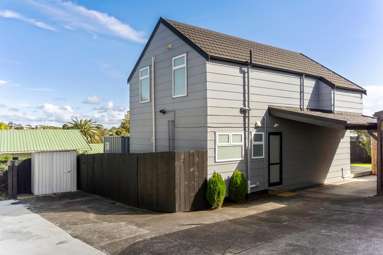 3/66A Birkdale Road_3