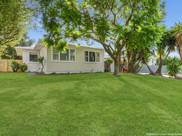 36 Hitchings Avenue Onekawa_2