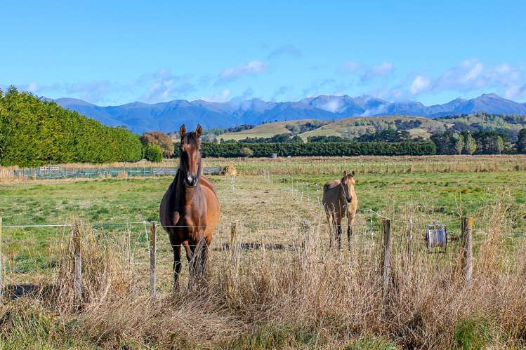 91 Budd Road Masterton_8