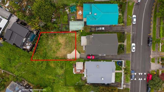 41A Mountain View Road Morningside_2