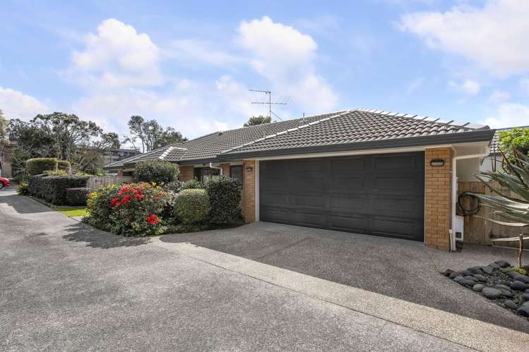 15b Irirangi Road Greenlane_18