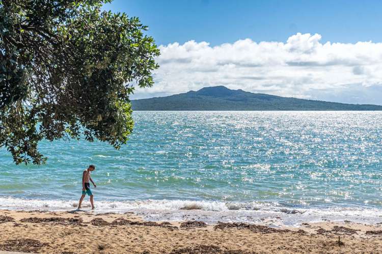 36a Cheltenham Road Devonport_23