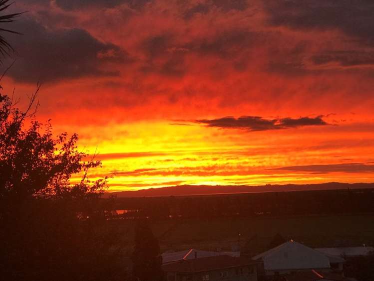 202 Tony Avenue Thames_0