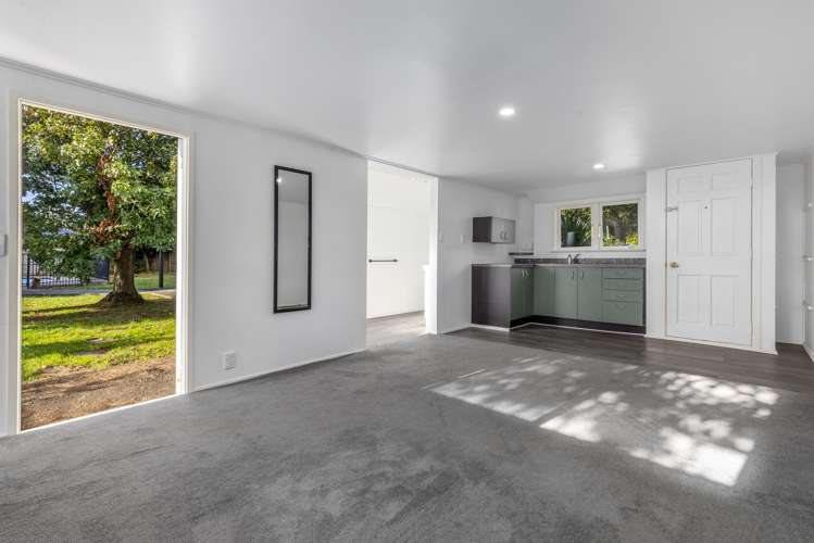 29B Sussex Street Levin_16