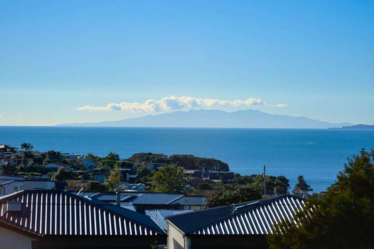 1/49 Hastings Road Mairangi Bay_16