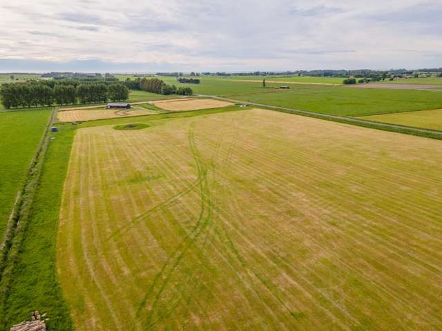 59 North Town Belt Temuka_2