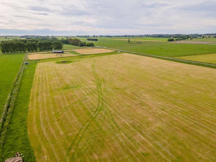 59 North Town Belt Temuka_2