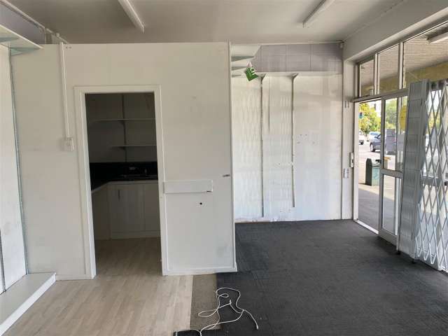 131 Pembroke Street Hamilton Lake_2