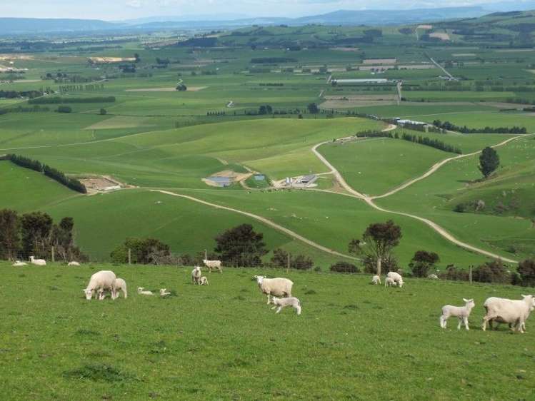 685 Benmore Otapiri Road Winton Surrounds_4