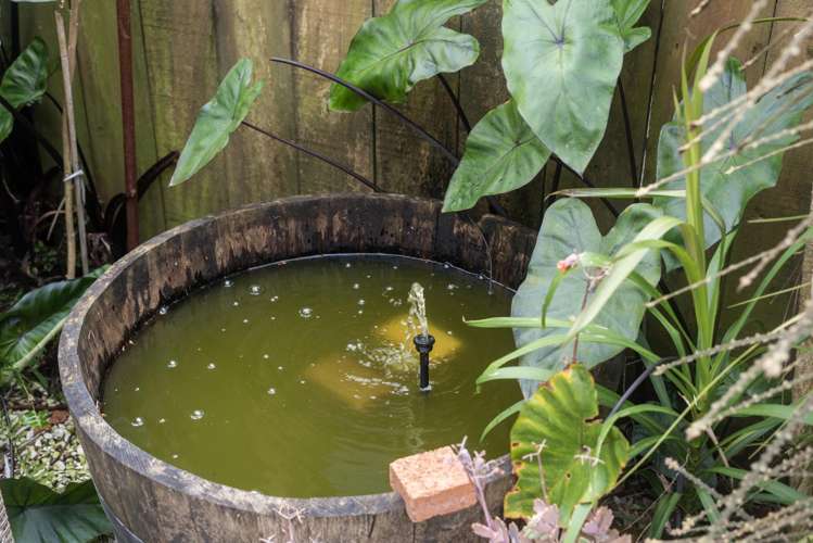 41 Matene Place Papamoa Beach_22