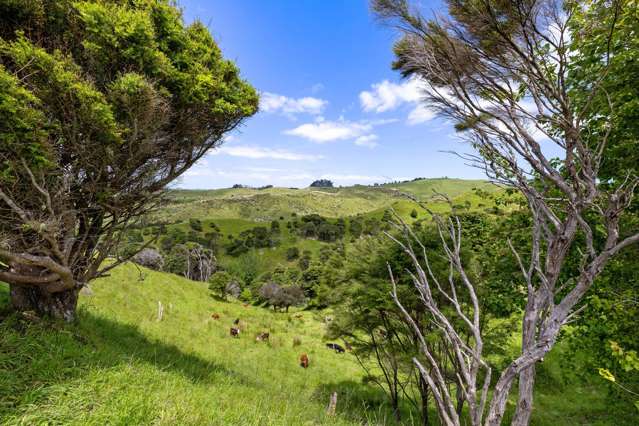 Te Akau Coast Road Te Akau_2