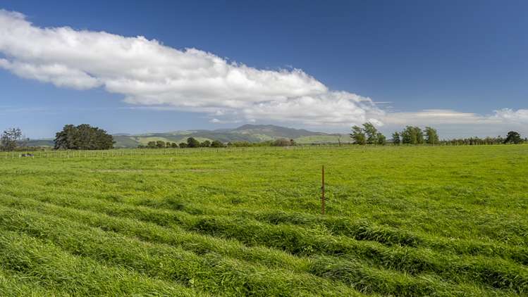 178 Pahautea Road Kahutara_15