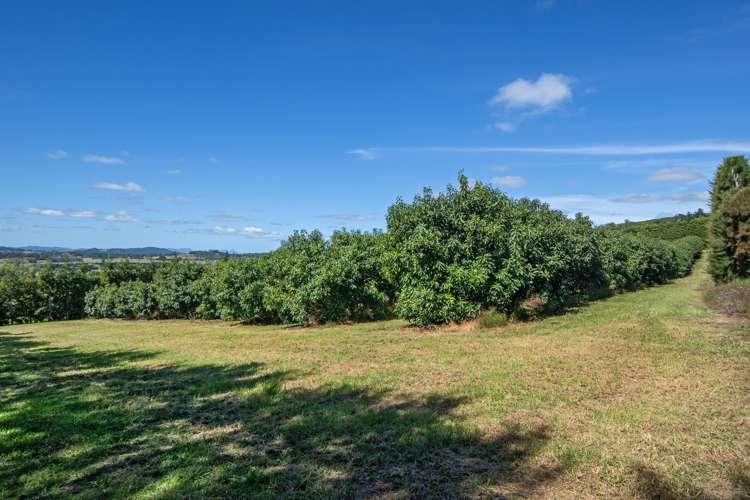 88 Stone Wall Rse Maungatapere_31