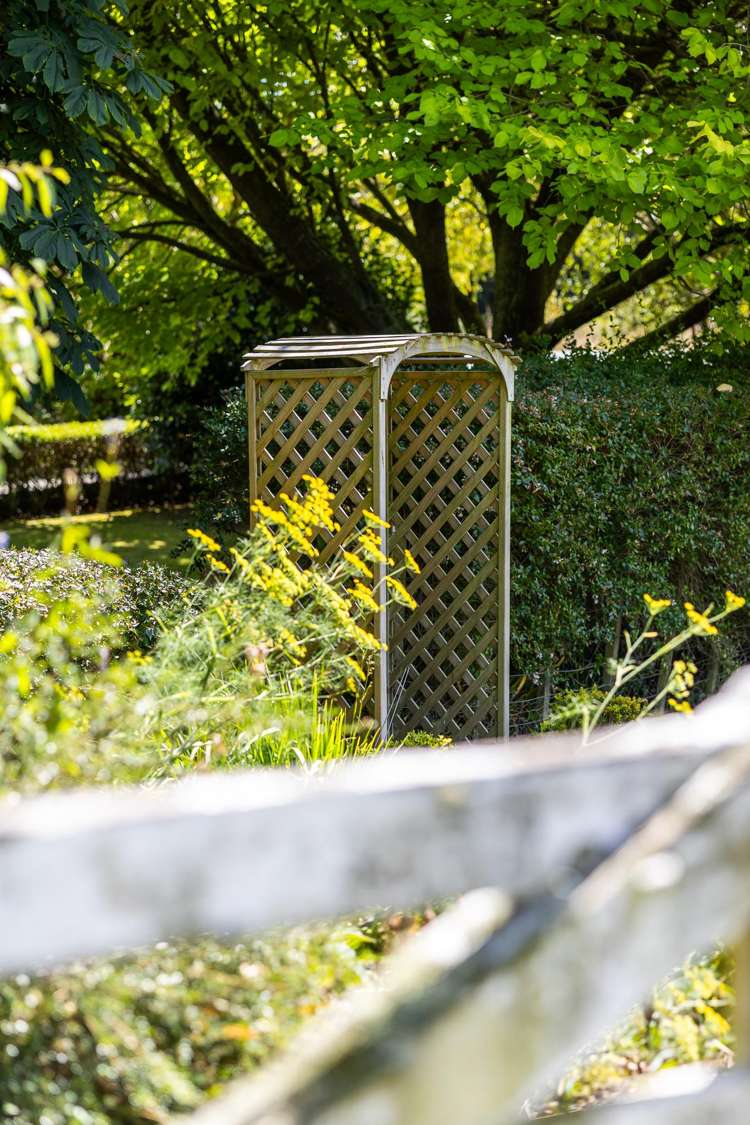 1091 Halcombe Road Halcombe_36