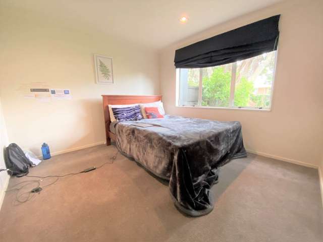 36 Campbell Road Onehunga_4