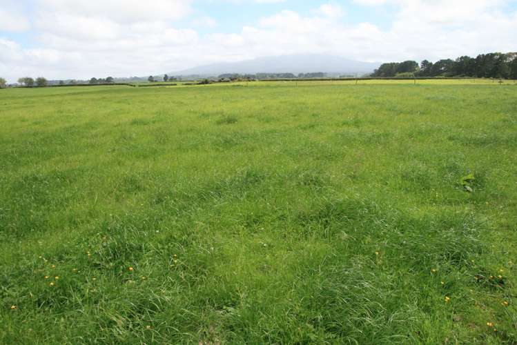 1641 Eltham Road Kaponga_6