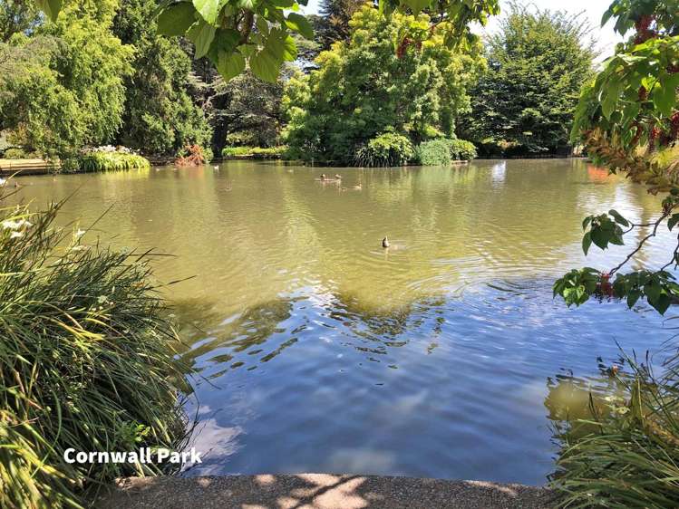 616 Tomoana Road Mahora_17