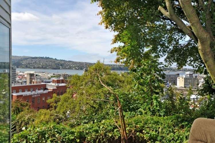 9 Elm Row Dunedin Central_9