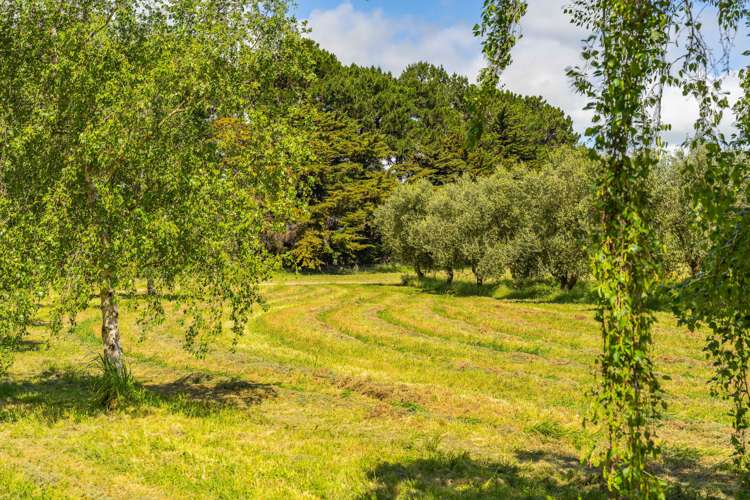 301c Te Muna Road Martinborough_18