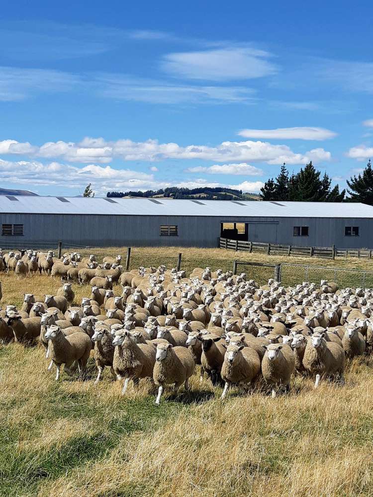 13 Kakapo Road Te Anau_20