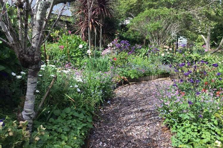 12 Sawmill Road Thames_20