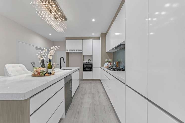 101 Thomas Road Flat Bush_1