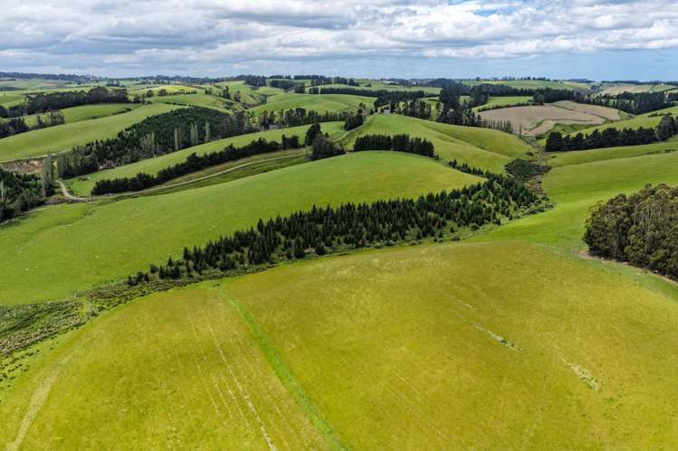 144 Block Road Pukeawa_13