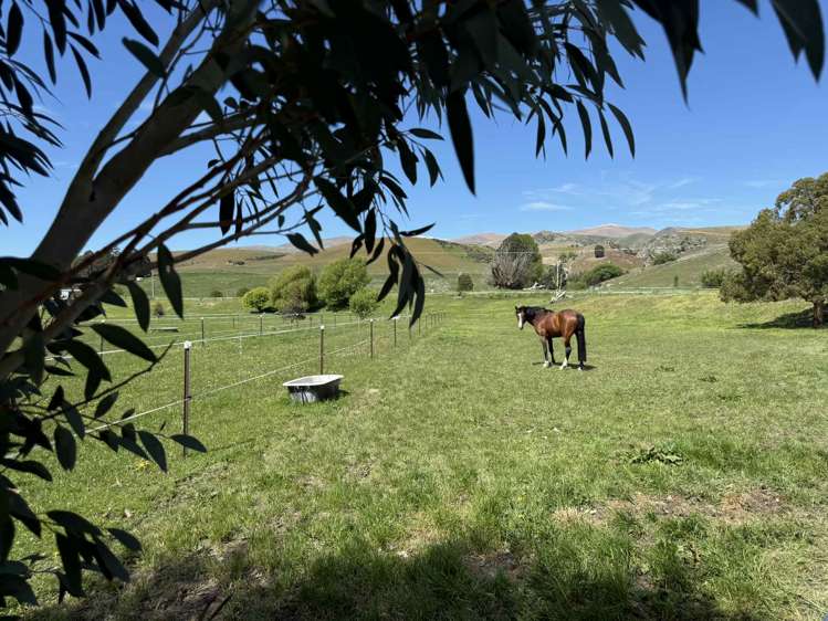 745 Ardgour Road Tarras_8