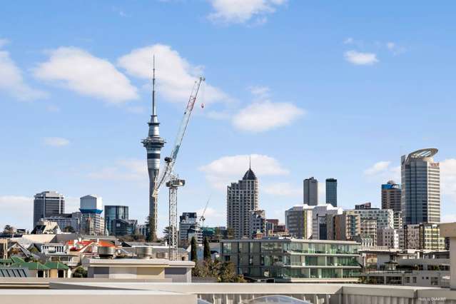 Charming and Affordable Apartment in Parnell