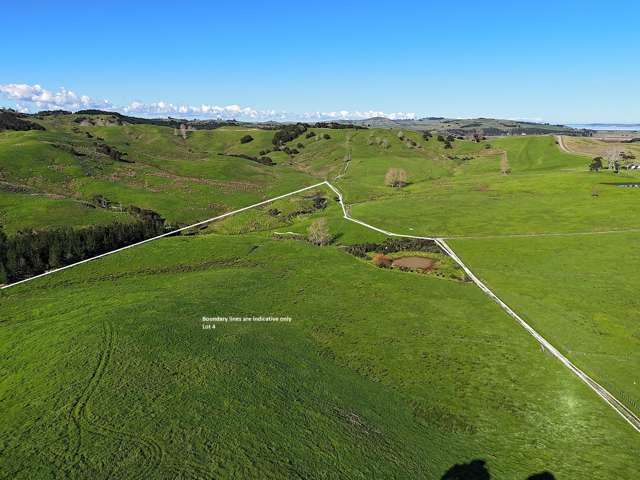 Lot 4 Greenhill Road Ruawai_2