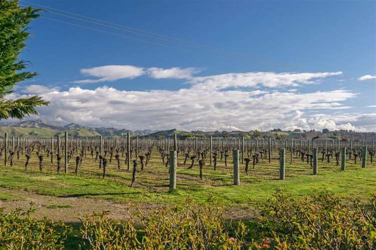 671 New Renwick Road Fairhall_23