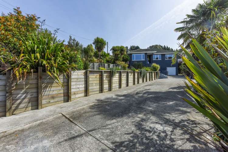 64 Montreal Road Toi Toi_18